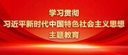 鸡巴插淫逼爱视频学习贯彻习近平新时代中国特色社会主义思想主题教育_fororder_ad-371X160(2)